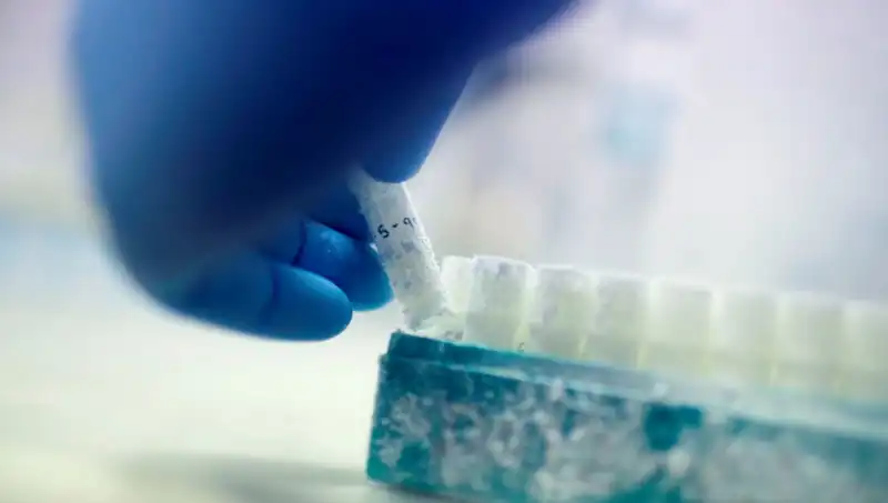 Sperm Donörlüğünde Şok İddia: 85 Donör, Binlerce Çocuğa Baba Mı Oldu?