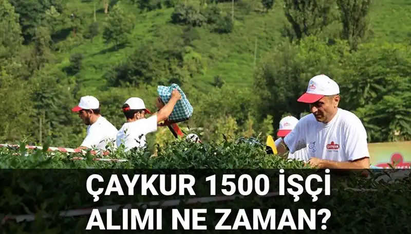 Çaykur İşçi Alımında Son Gelişmeler: Başvuru Tarihleri Belirlendi mi?