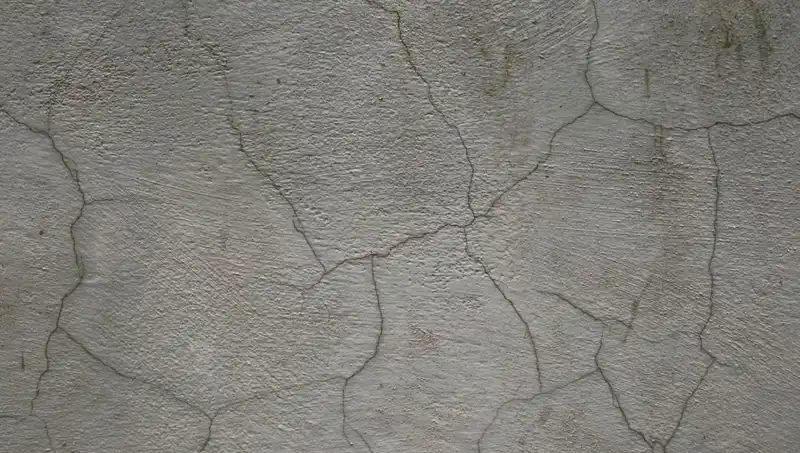 Geleceğin Malzemesi: Canlı Beton Çatlakları Kendiliğinden Onarıyor