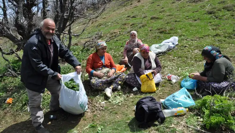 250 Lira Değerinde Sıfırdan Bir Hayat: Dağ Yürüyüşü ile Geçim Sağlayan Aileler