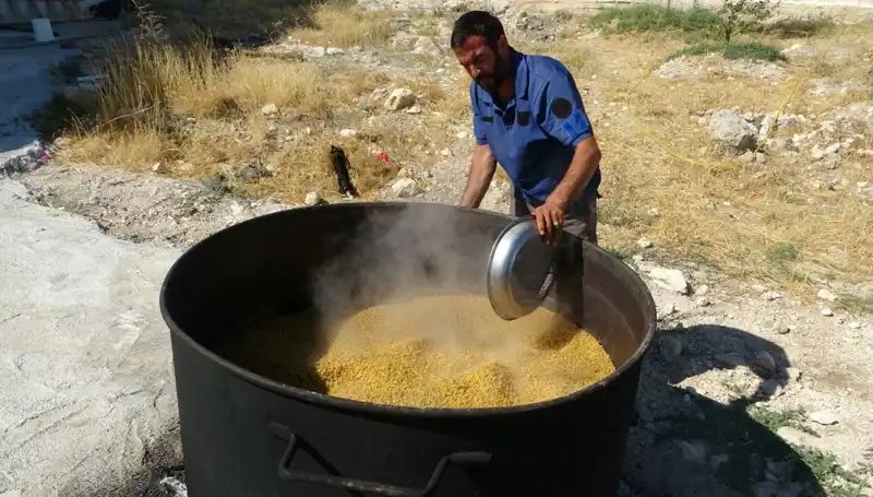 Her yıl tekrar eden gelenek: Ağustos'ta başlayan kaynaşmanın hikayesi