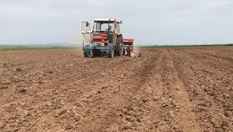 Son 35 Yılda Görülen En Kurak Mart Ayı: Yağışlar Yüzde 59 Düştü