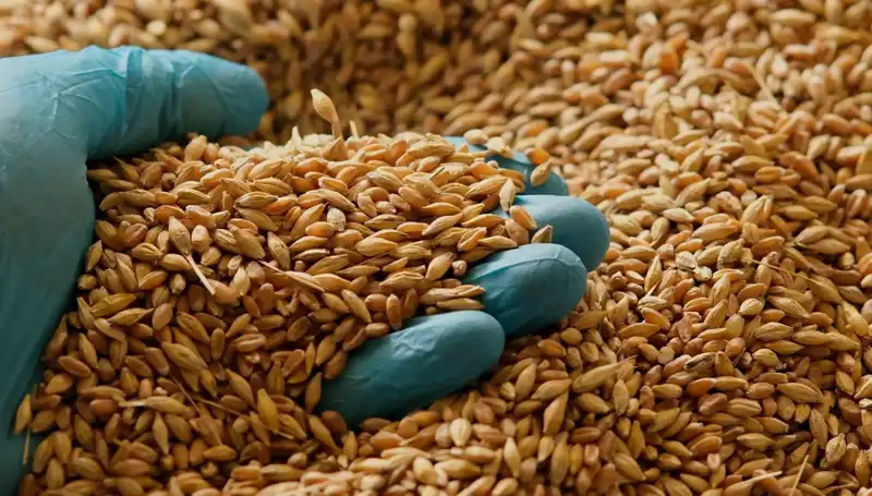 Kalp Hastalığı Riskini Düşüren Beslenme Alışkanlıkları: Uzmanından Özel İpuçları
