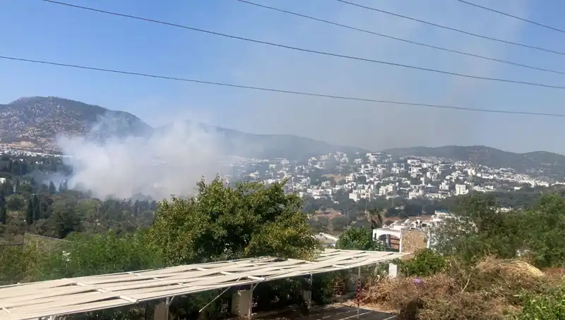 Muğla'daki Orman Yangınları: Çalışmalar Kontrol Altına Alındı!