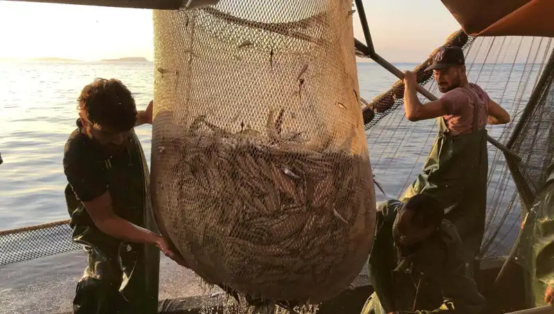Balıkçılar İş Bıraktı: İhlal Edenler İçin Binlerce Lira Ceza Geldi!