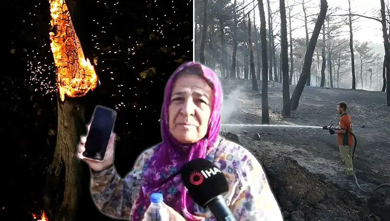 Çanakkale Orman Yangınları Kontrol Altına Alındı: Hayatta Kalanlar ve Kaybolanlar