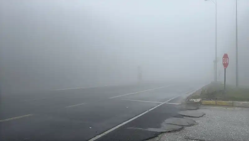 Bolu Dağı'ndaki Sis, Görüş Mesafesini Düşürdü ve Seyahatleri Zora Soktu