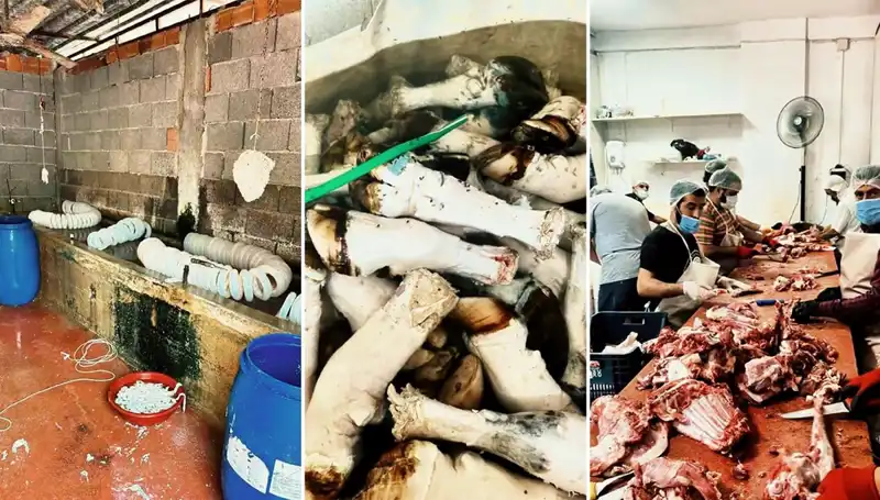 Adana'da Şok Edici Durum! Yüzlerce Kilo Paça Ele Geçirildi
