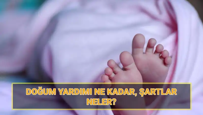 2025 Doğum Yardımı İçin Başvurular Başladı: Çocuk Parası Üzerine Bilmeniz Gerekenler