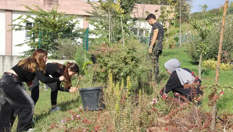 Düzce'nin Gururu: Hayaldi Gerçek Olan Dünya Çapında Başarı
