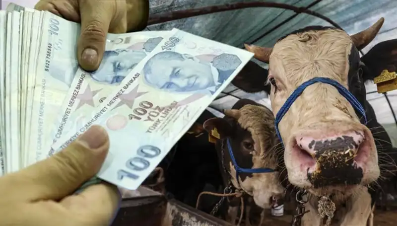 Bayram Öncesi Maaşlar Yatacak mı? Emeklilere Özel Müjde Geldi!