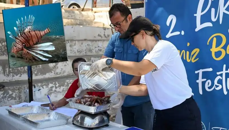 Antalya'da İstilacı Aslan Balığı Avlama Yarışması: Doğaya İhtiyaç Var!