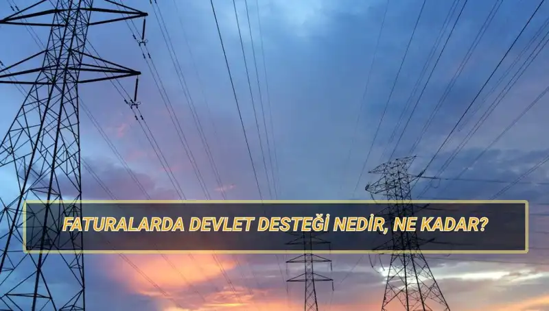 2025 Yılında Doğalgaz ve Elektrik Faturası İçin Devlet Desteği Başvuruları Başladı