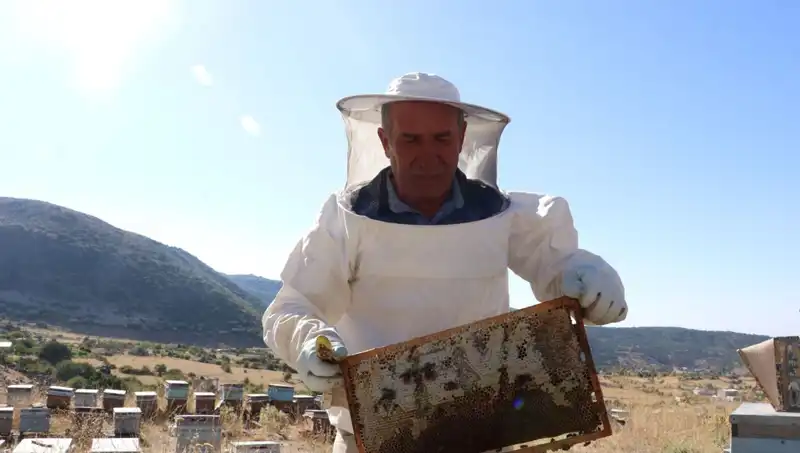 Mobilya İşini Bırakıp Tarıma Geçen Girişimci, 2 Ton Ürünle Başarıya Koşuyor