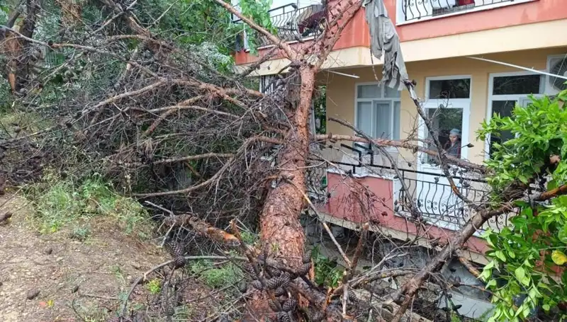 Yağmurun Kurbanı: Dev Bina Büyüleyici Bir Manzarayla Yıkıldı
