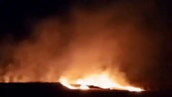 Tekirdağ'da 20 Dekar Buğday Alanı Kül Oldu: Yangın Felaketi Üreticiyi Vurdu