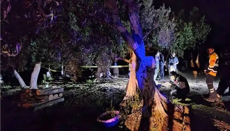 Çiftlikteki Baltalı Vahşete İki Tutuklama: Olayın Ayrıntıları Açığa Çıktı