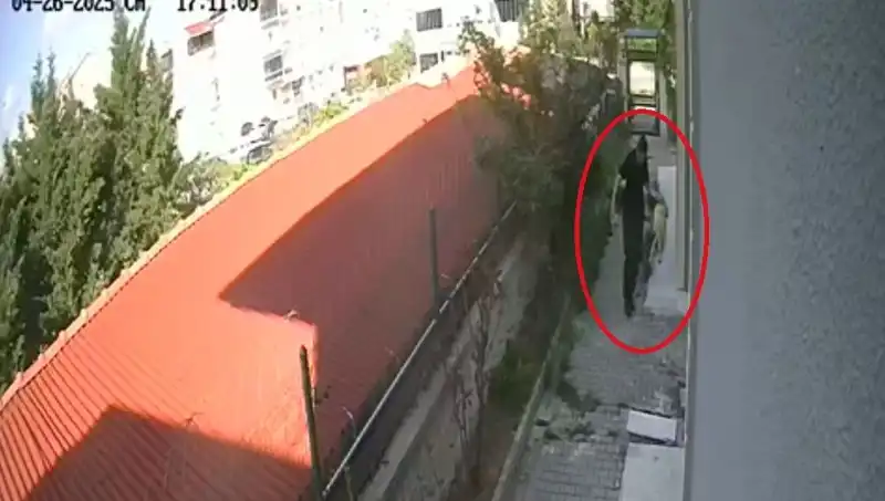 Doktorun Korkunç Suçu: Evdeki Köpekleri Parçaladı ve Tutuklandı!