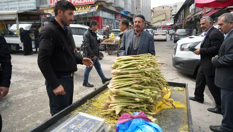 Şekerin Sağlık Üzerindeki Şaşırtıcı Etkileri: Dağlık Alanlardan Pazara