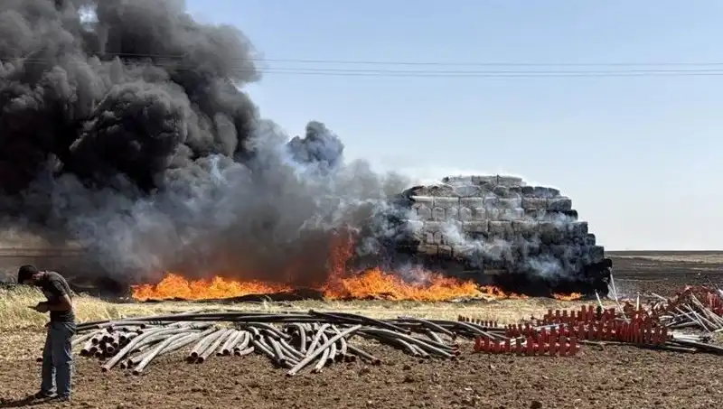 Mardin'de Anız Yangınları Nasıl Kontrol Altına Alınıyor?