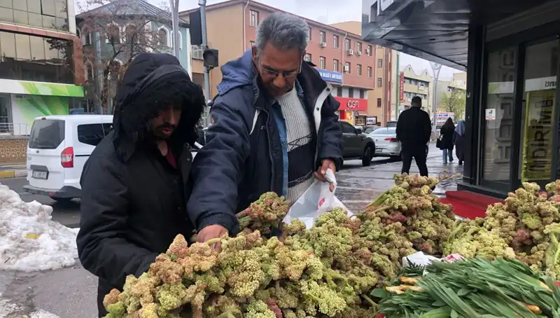 Kendiliğinden Yetişen Eşsiz Bir Vitamin Deposu: Kanserle Savaşta Yeni Bir Umut