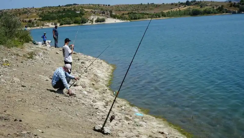 Kafesler Patladı: Balıklar Baraja Akın Etti, Nedeni Şaşırttı!