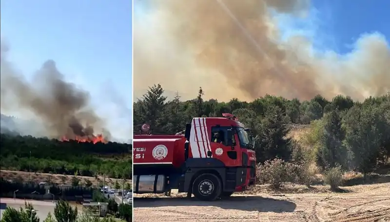 Gebze'de Duman Vatanı Sarmaladı: Orman Yangını Korkuttu